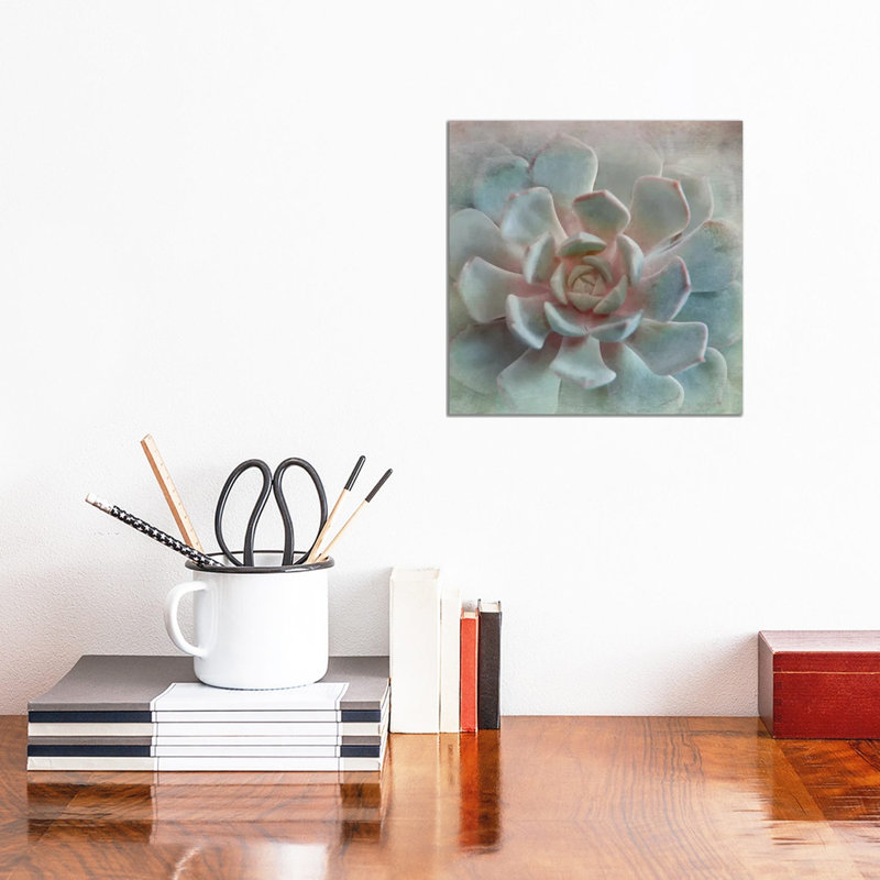 Pastel Succulent II by Irene Weisz - Wrapped Canvas Painting, 30.48 cm H x 30.48 cm W