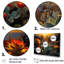 «Succulent Desert Cactus Field Burning Sunset» - ensemble d'art mural succulent-2070430352-2070430353