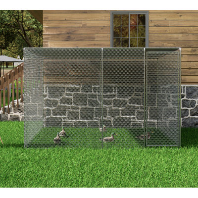 Cage à poules pour poulailler