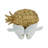 Decorative Kissing Birds on Pineapple Figurine Object for Home Decor - Modern Sculpture for Living Room Decoration or Table Styling - 8", White & Gold