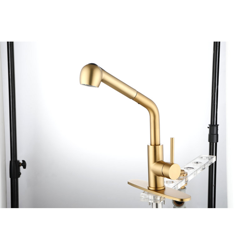 Robinets de cuisine avec douchette extractible, robinet d'évier de cuisine à poignée simple avec douchette extractible, Doré