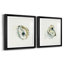 «Old Salt Shell I», ensemble de 2 reproductions d'art encadrées-2048829120-2048829127-2118285762