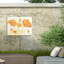 Coquelicots bolognaise-98081573