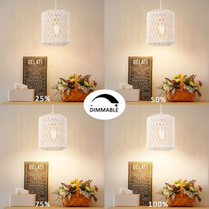 Plug In Pendant Light Cord, Farmhouse Hanging Lights With Plug In Cord Kit On Off Switch E26 E27 Socket