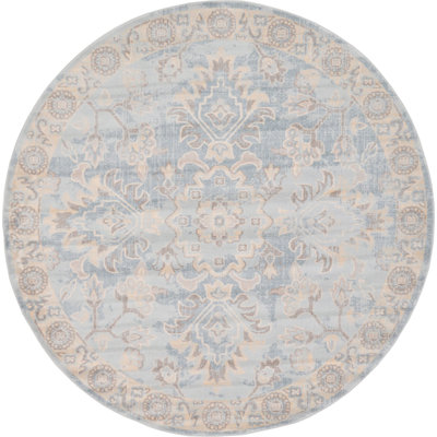 Anyia Oriental Indoor Rug
