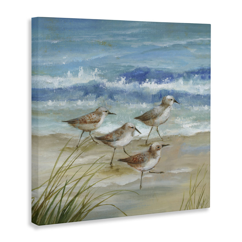 Sandpiper Gathering View, toile par Nan, H 24 po x l 24 po