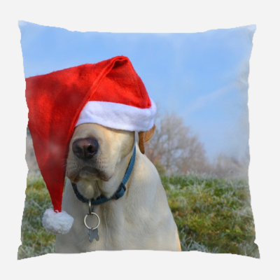 Canvas Outdoor Reversible Throw Pillow