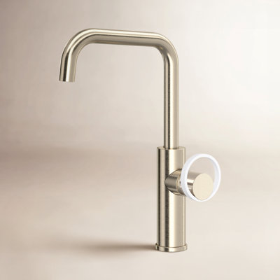 AllModern Linwood Kitchen Faucet Side Spray