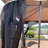 13x10 Outdoor Patio Gazebo Canopy Tent With Ventilated Double Roof And Mosquito net(Detachable Mesh Screen On All Sides),Suitable for Lawn, Garden, Backyard and Deck, Top-110583047-110583046