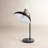 Rotisha Metal Desk Lamp