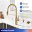 Robinet de cuisine rétractable Rainlex