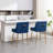 Baudel Zanthia Counter Stool-620647377