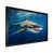 Black Single Picture Framed