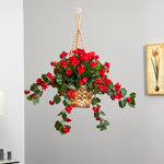 Geranium Hanging Basket UV Resistant (Indoor/Outdoor)