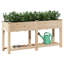 Sapin en bois massif Vidaxl-904968983