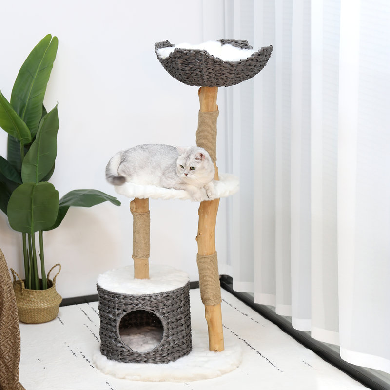 Arbre à chat Duriye