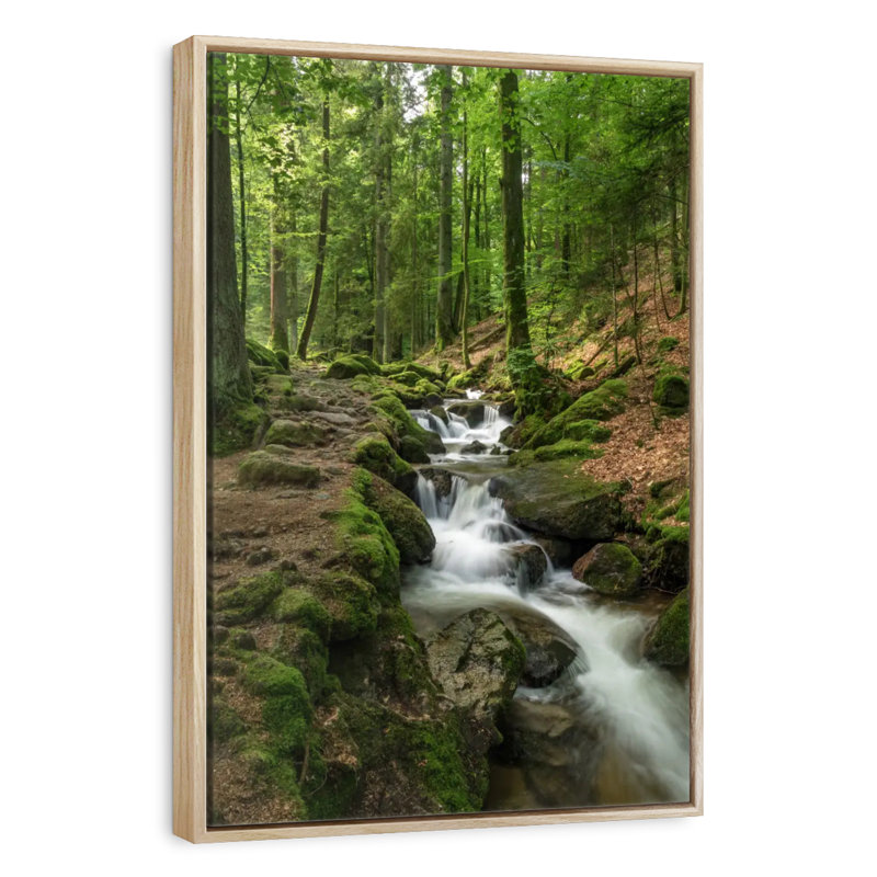 Ruisseau Buhl Forest, Cadre flottant en bois naturel, 17 po x 25 po