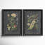 Midnight Botanicals by Vision Studio
