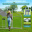 Cinderford Walk in Chicken Run-2048719376