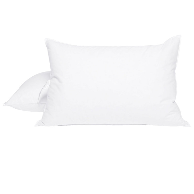 Pillow, 20" x 28