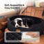 Pet Bed-2004591696-2004591702