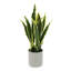 Plante de serpent artificielle Sansevieria en pot-130196675