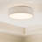 Raasch Flush Mount-839090130-930126327