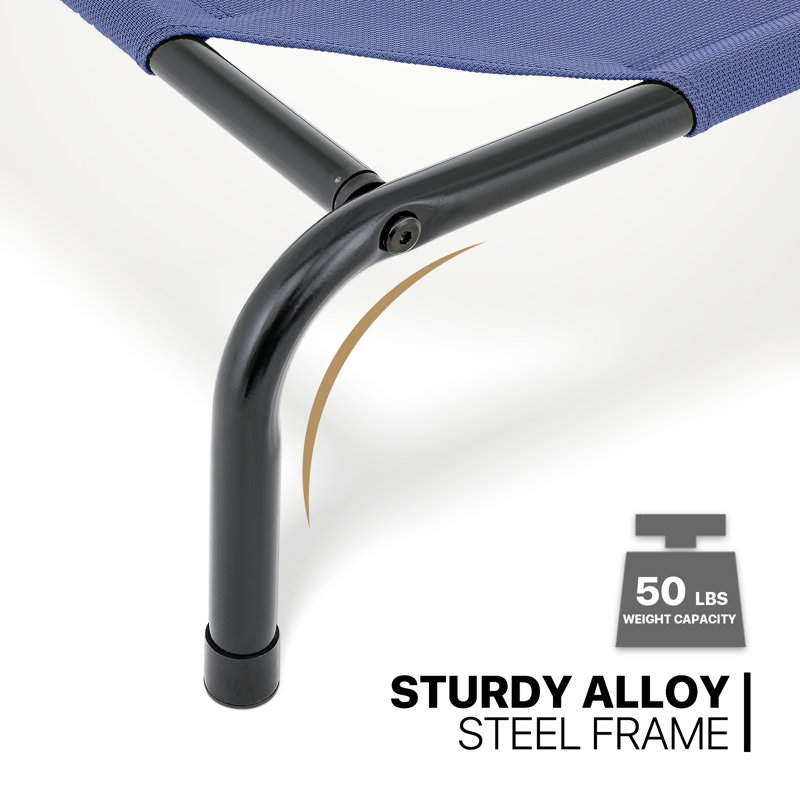 Small Navy Blue Elevated Outdoor Dog Bed with Steel Frame