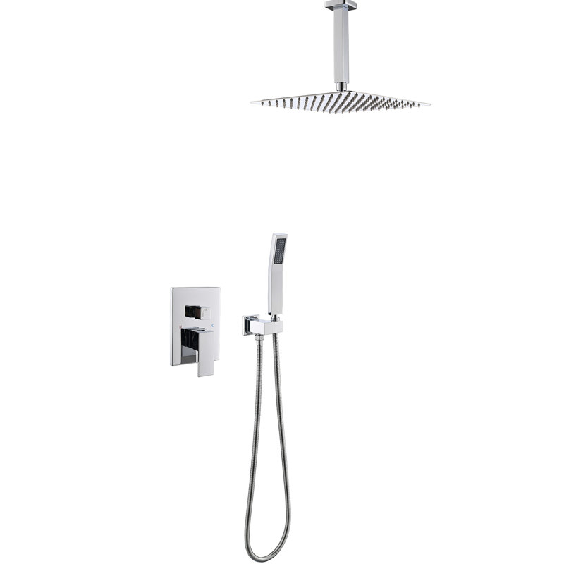 Pomme de douche Contemporary