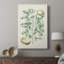 Buchoz Tropicals III - Gallery Cavas sur mesure-117868564