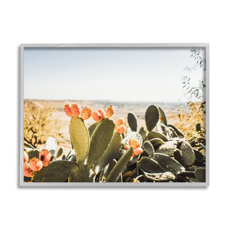Cactus ensoleillé par Krista Broadway - photographie, H 11 po x l 14 po x P 1,5 po, Estampe numérique Farmhouse