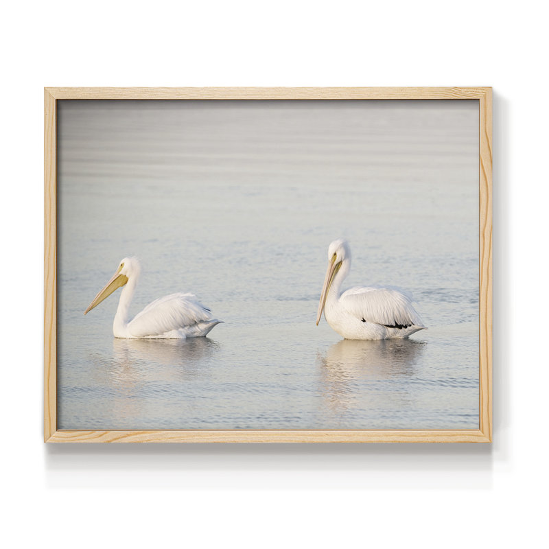 Pelican Pals - reproduction encadrée - réarmable, Naturel, H 11 po x l 14 po