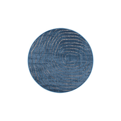 Machine Washable Blue Area Rug