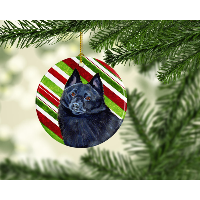 Ornement figurine suspendu en céramique de noël schipperke