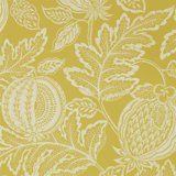 Cantaloupe Wallpaper