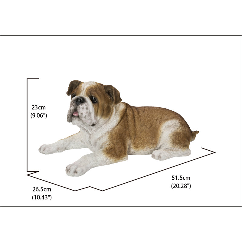 Bouledogue couché