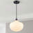 Collina 1-Light Dimmable Globe Glass Pendant-66203352