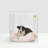 Medium Clear View Pet Crate with Gold Latch-1029168813