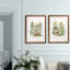 Fox Glen I - ensemble de 2 reproductions d'art encadrées-491372866-411083732-411083735