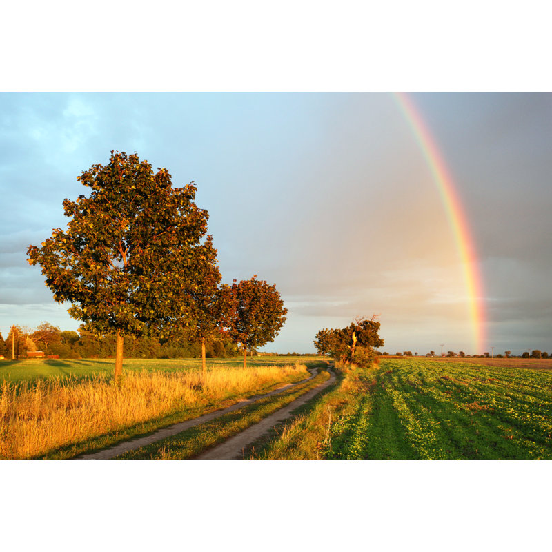 Rainbow Over Field - Wrapped Canvas Print, 61cm H x 91cm W x 3.8cm D