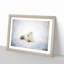 Resting Arctic Fox - Picture Frame Painting Print-56758845-56758842