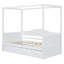 Twin Size Canopy Bed with Trundle, White Wooden Day Bed for Sleepovers & Space-Saving Modern Design