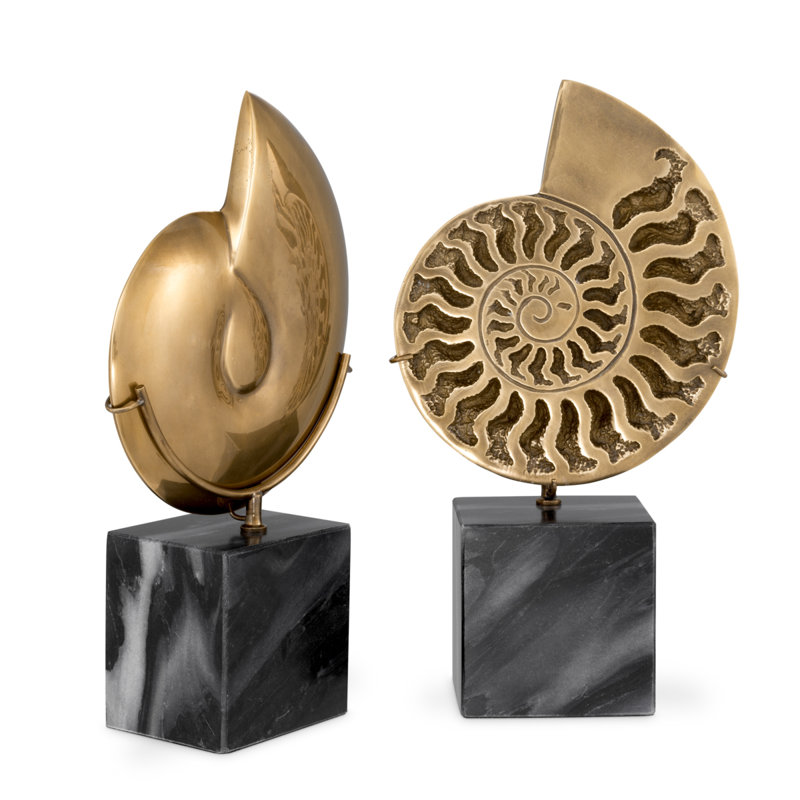 Décoration d'ammonite