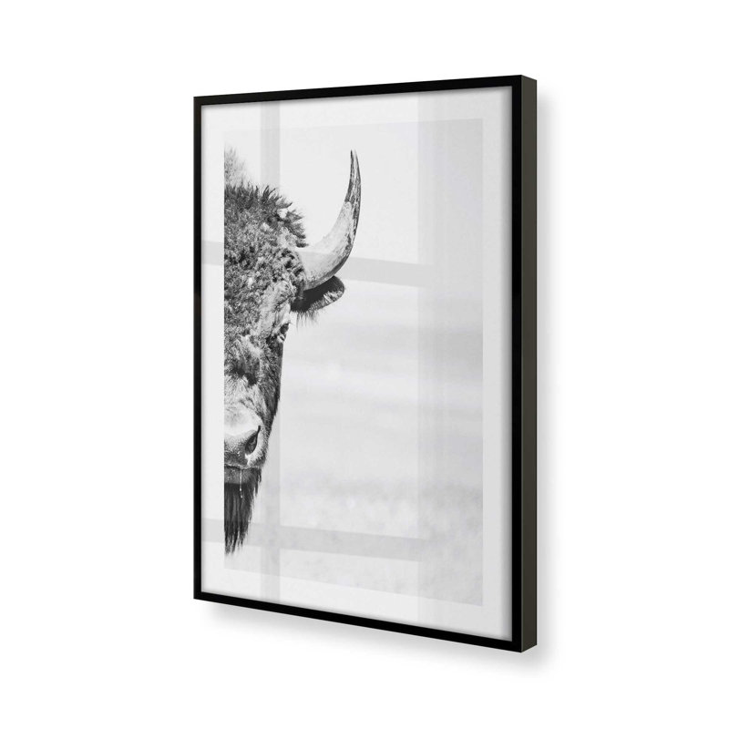 Imprimé Wild Stare, H 11 po x l 9 po x P 1,25 po, Cadre noir satiné