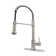 JS Pull Out Kitchen Faucet with Deck Plate 2 Spray Modes