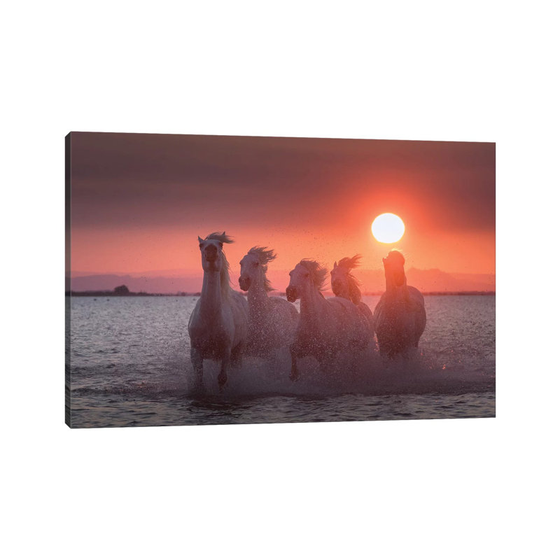 White Angels Of Camargue XXIV by Daniel Kordan - Wrapped Canvas Print, 101.6 cm H x 66.04 cm W x 1.91 cm D