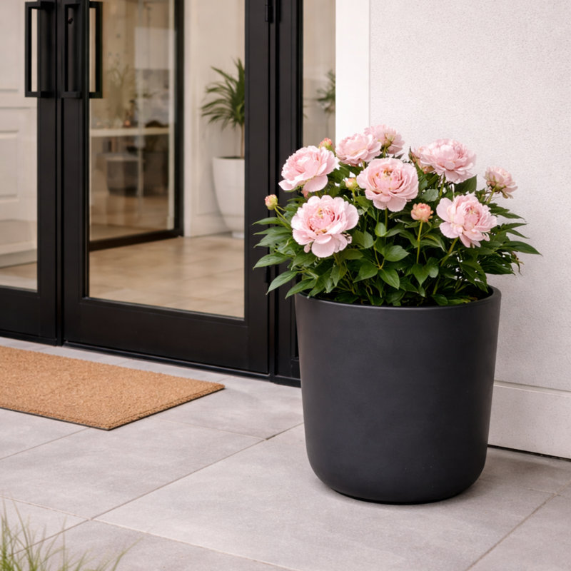 Ashley Round Egg Planter, Concrete Effect, Indoor and Outdoor Round Plant Pot with Drainage Hole, 25cm H x 25cm W x 25cm D
