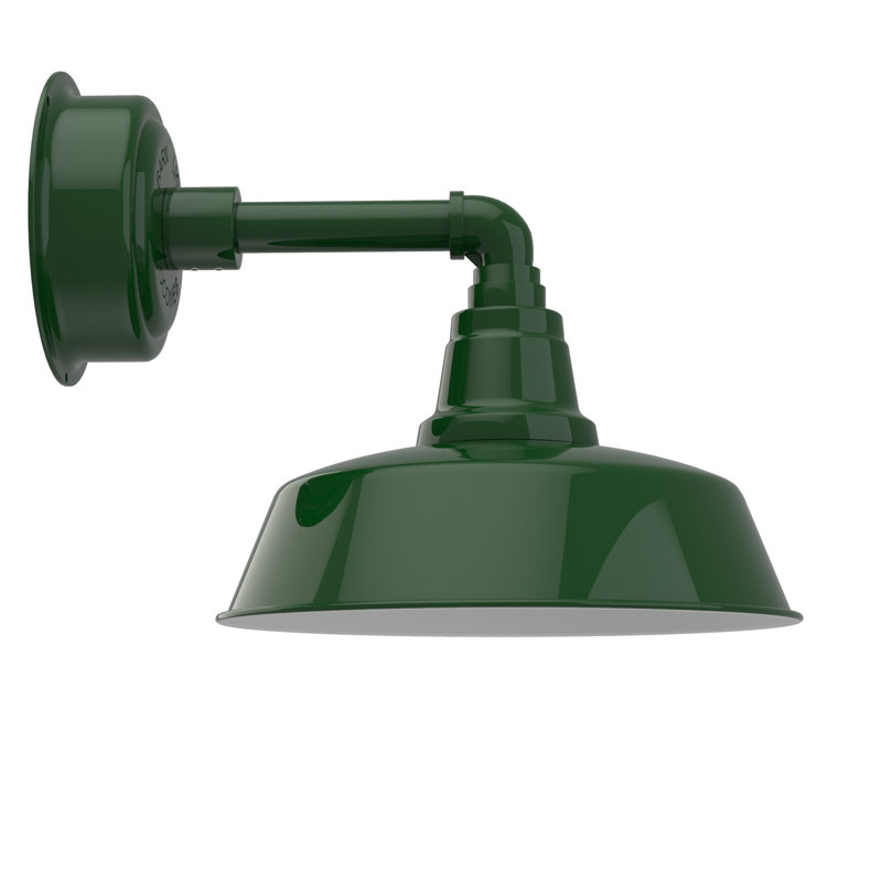 Luminaire de grange à del 1 lumière del Tamia, H 10,18 po x l 12 po x P 23,75 po, Vert rétro