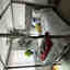 Photos des clients 1 de 1