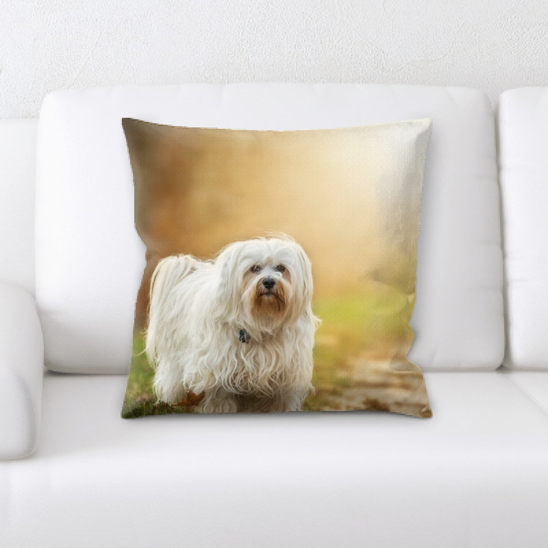 Coussin pour chien